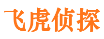 紫云市侦探调查公司